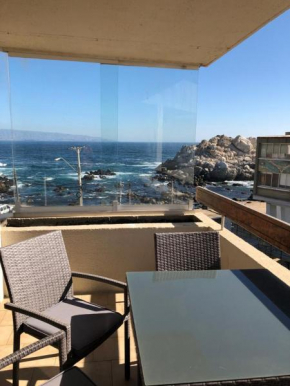 roca marina